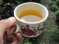 桑の葉茶・栄養素を補給